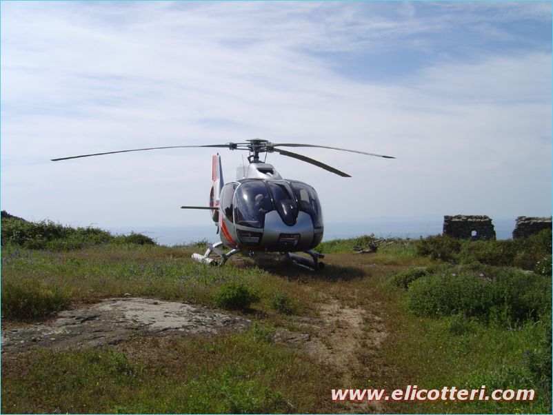 elifoto (48)